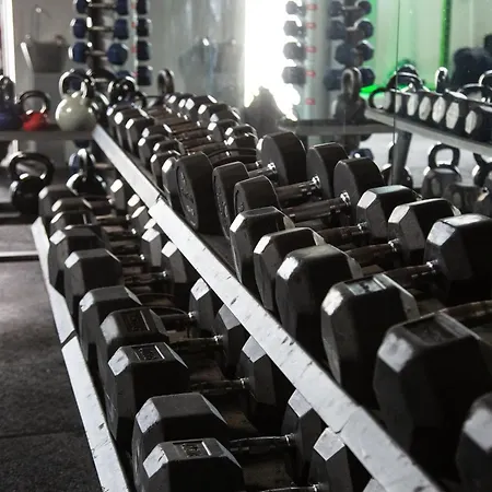 Waterbird * Windermere