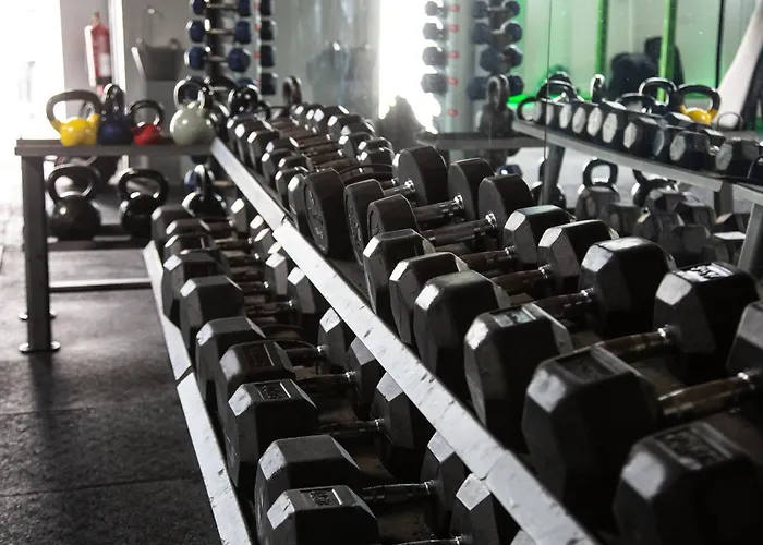 Waterbird * Windermere