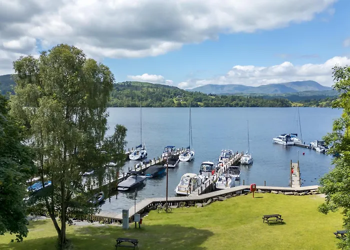 Waterbird Windermere